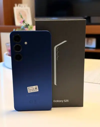 Samsung Galaxy S25 256GB