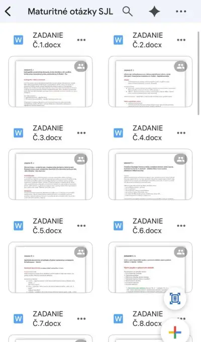 Maturitné otázky SJL