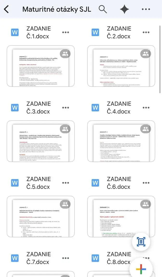 Maturitné otázky SJL