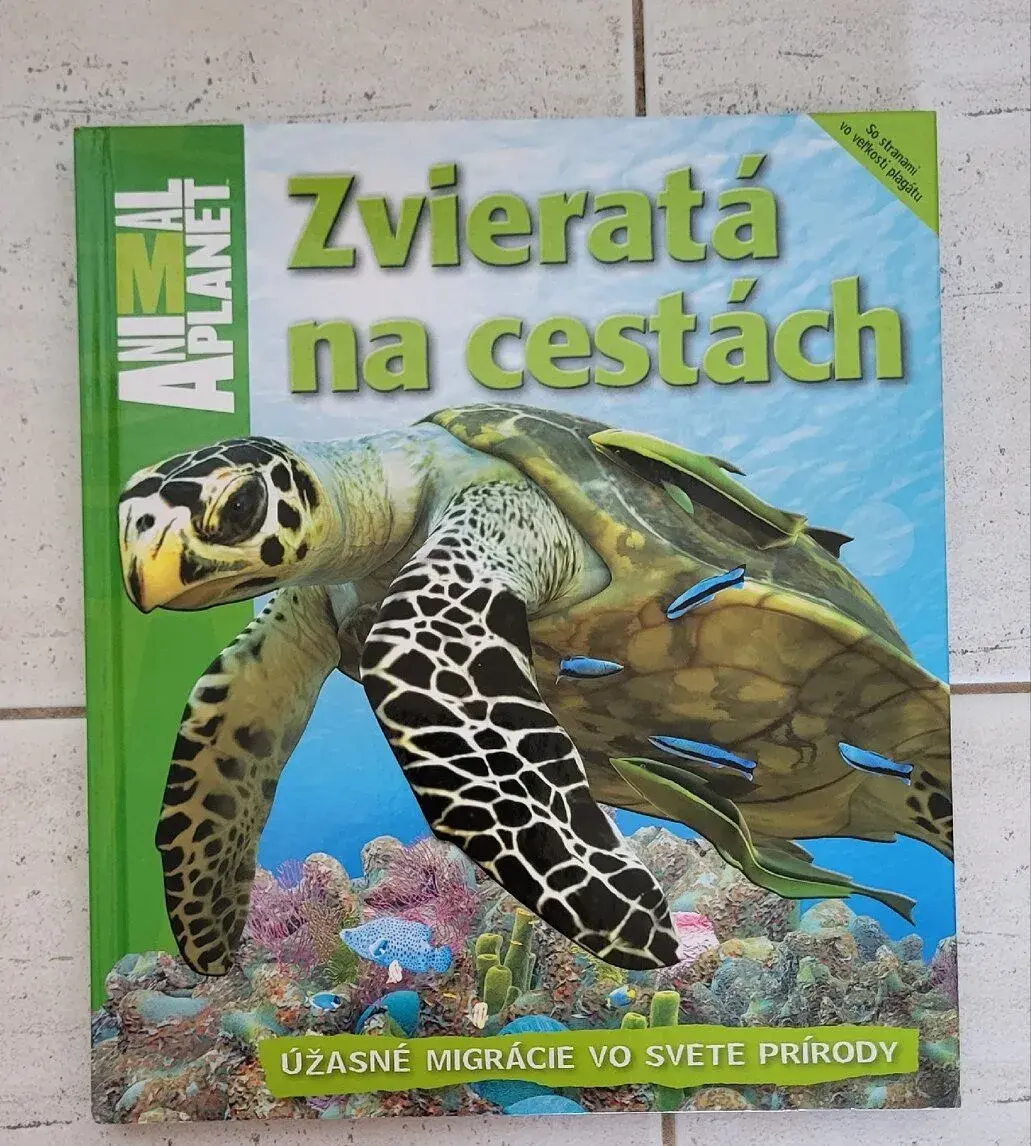 Zvieratá Na Cestách Animal Planet