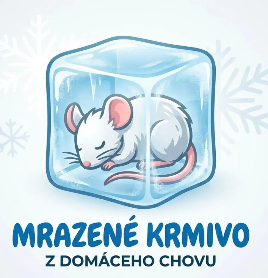 Mrazené myši a mastomyši – vlastný chov (Dovoz BA, SC)