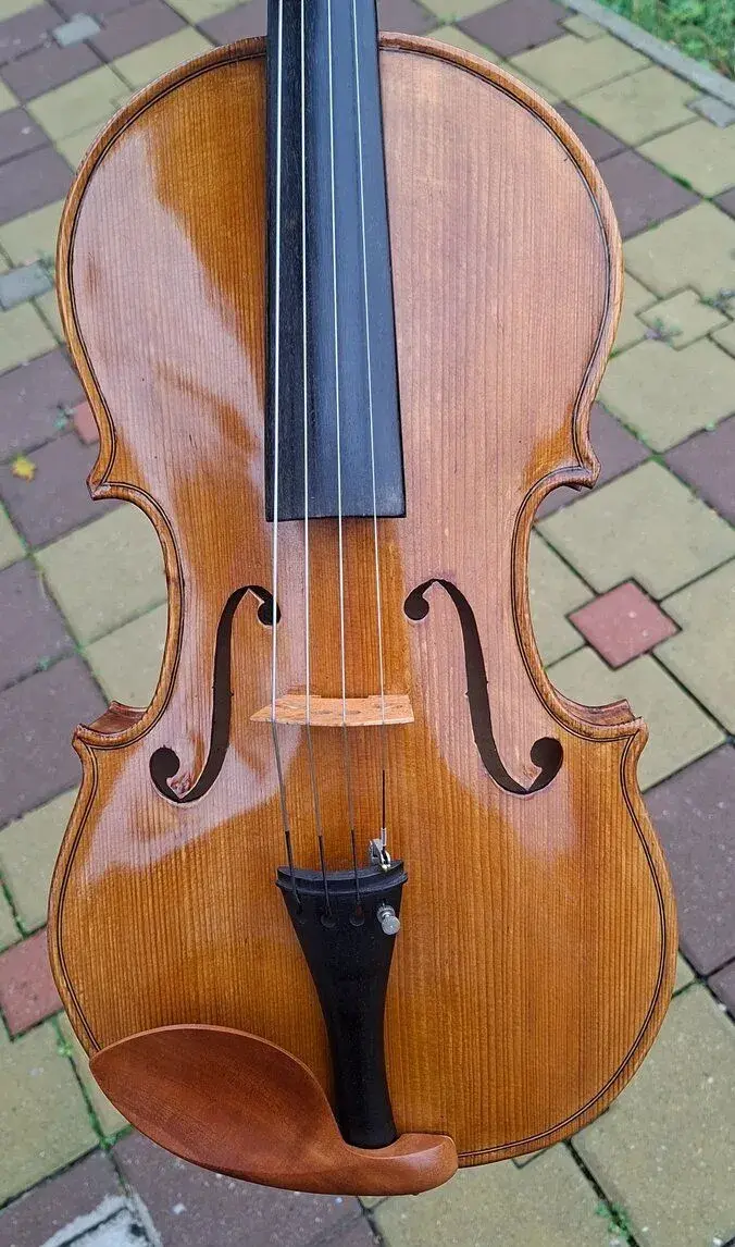 Violu 41,42