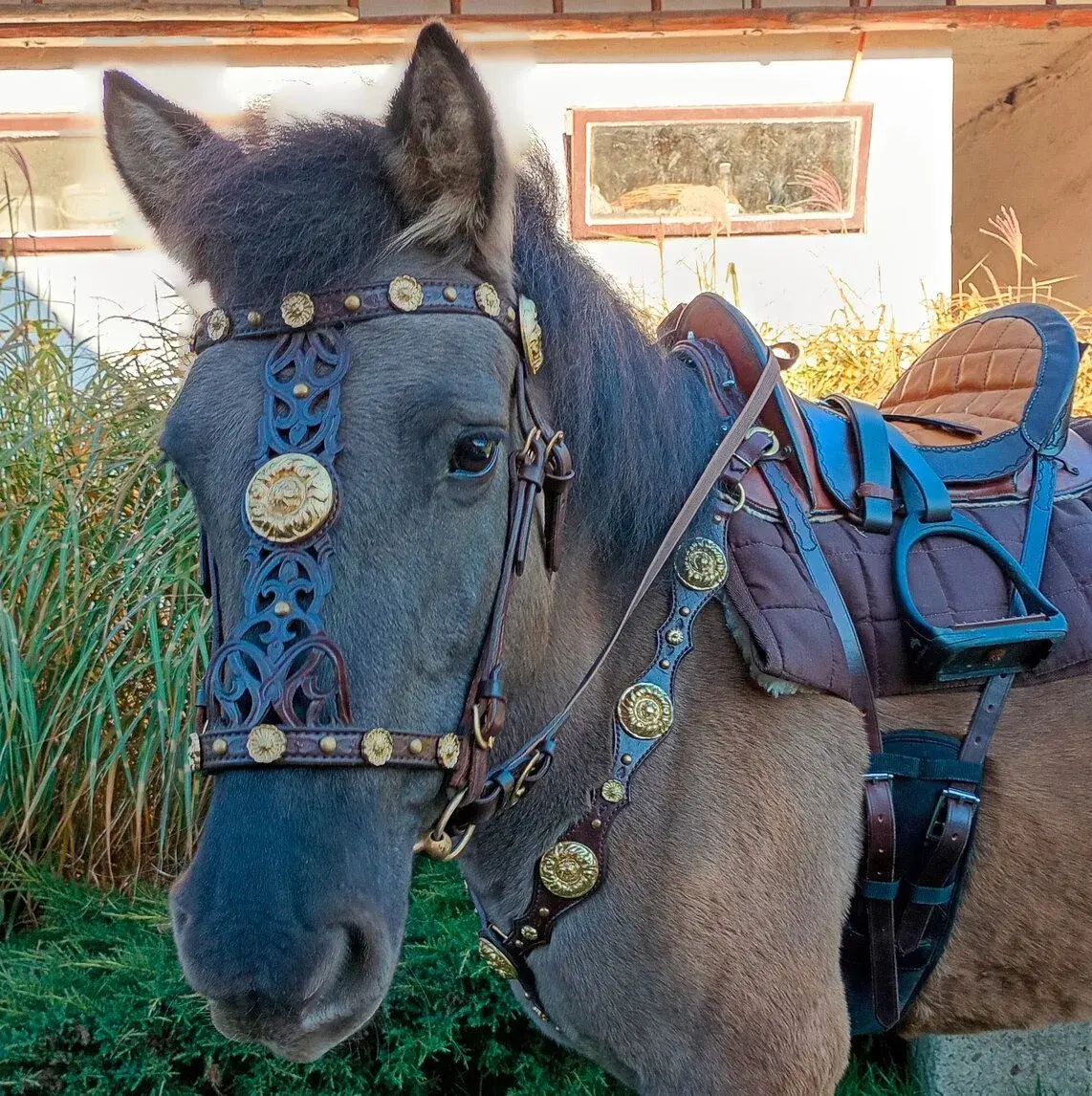 Komplet barokový PONY