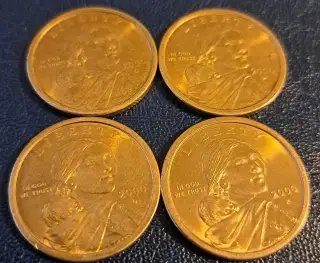 Mince dollar Indianka