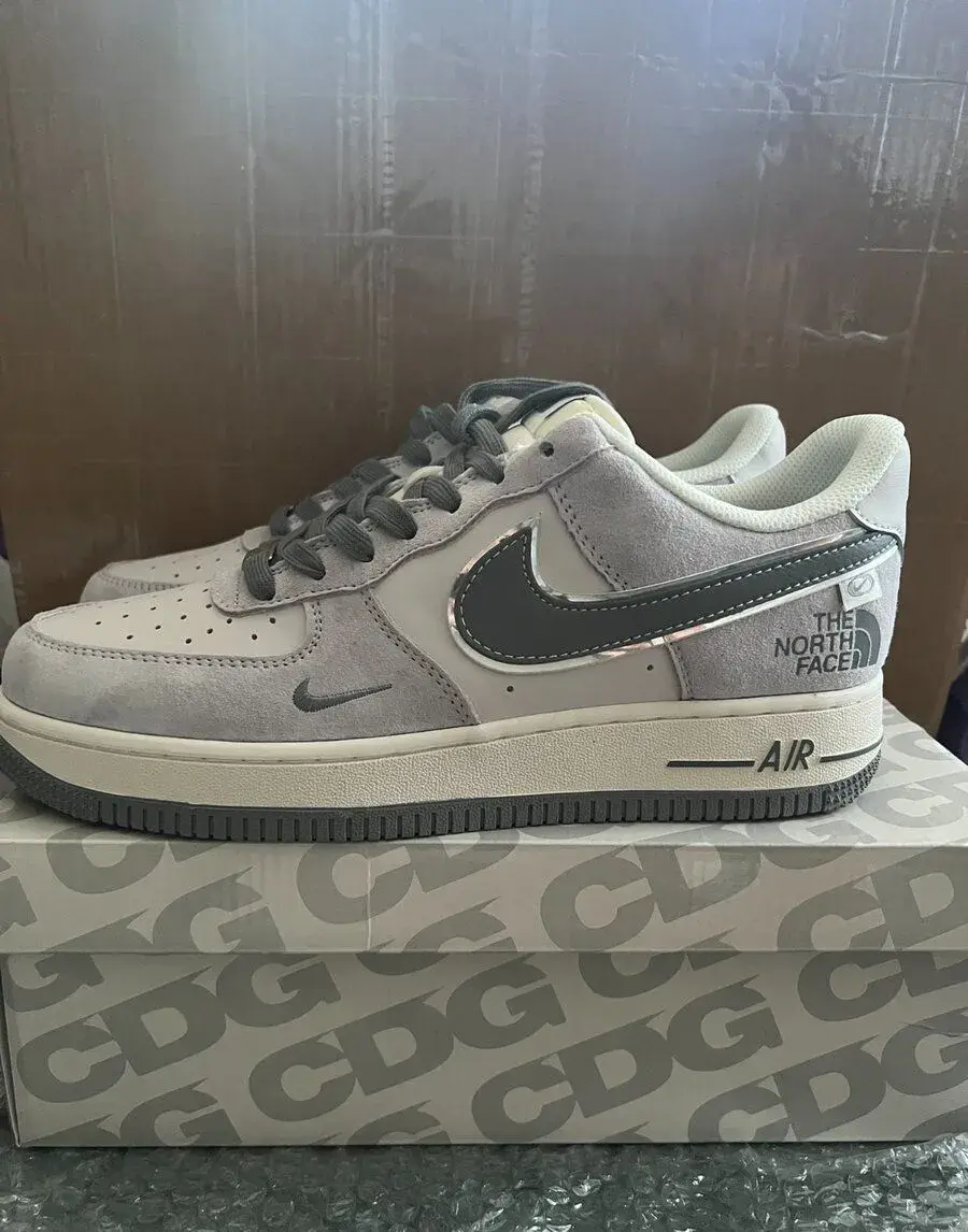 Nike Dunk x The North Face