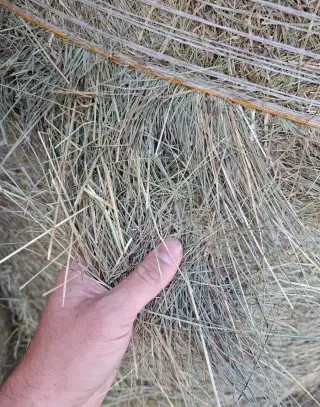Seno s dopravou