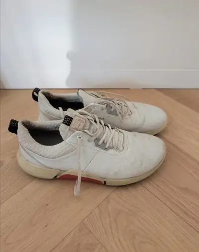 Ecco Biom H4