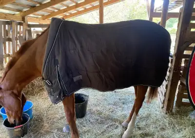 Stajňová deka