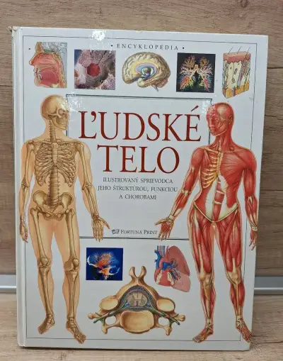 Ľudské telo - Ilustrovaný sprievodca