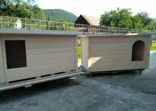 Psia búda búda pre psa psov Latrina suché wc kurín