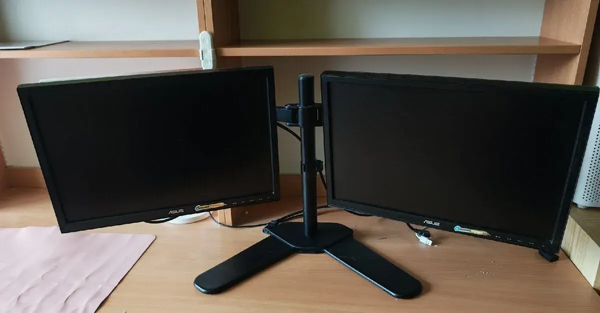 Monitory