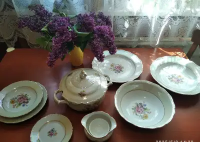 Obedová perleťova porcelánová sada