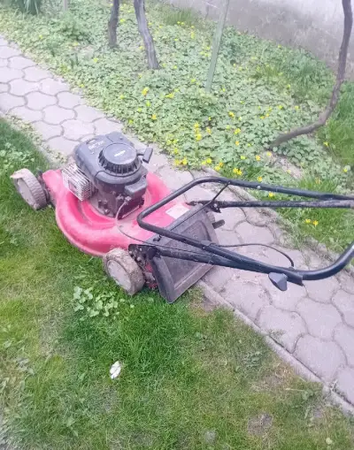 Kosačku Briggs Straton