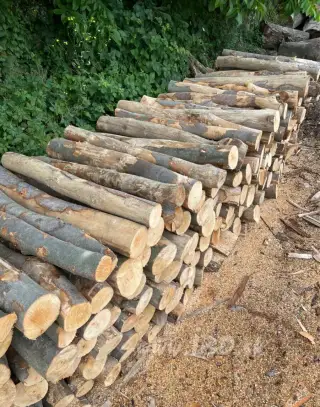 Predaj palivového dreva
