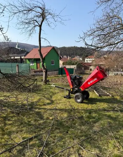 Štiepkovanie konárov