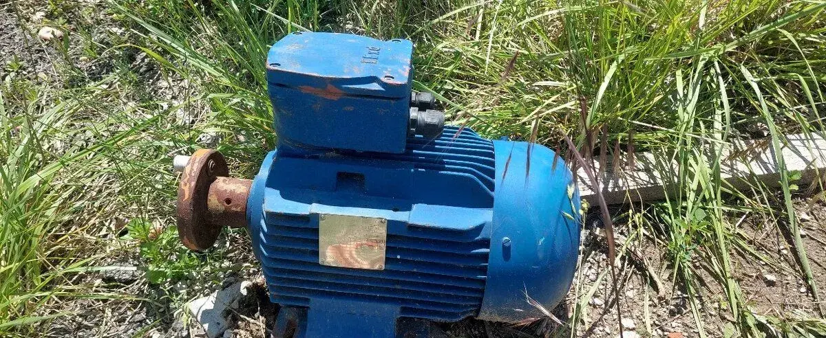 Motor DUTCHI NL