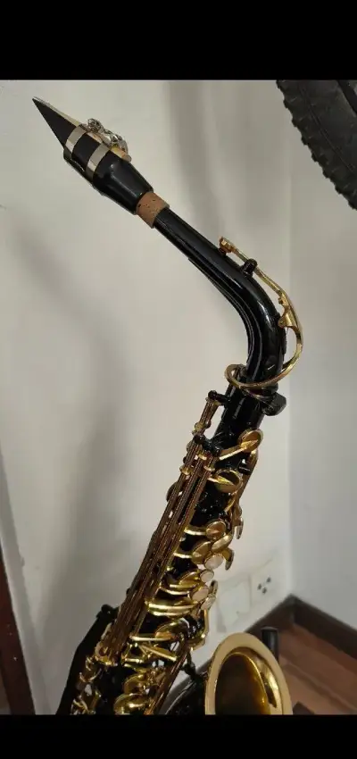 Saxofón 🎷