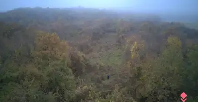 Predaj záhrady, Nitra