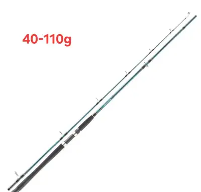 Daiwa Saltist Sea 270 cm, 40–110 g