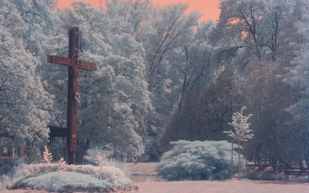 Nikon D90 Infrared.