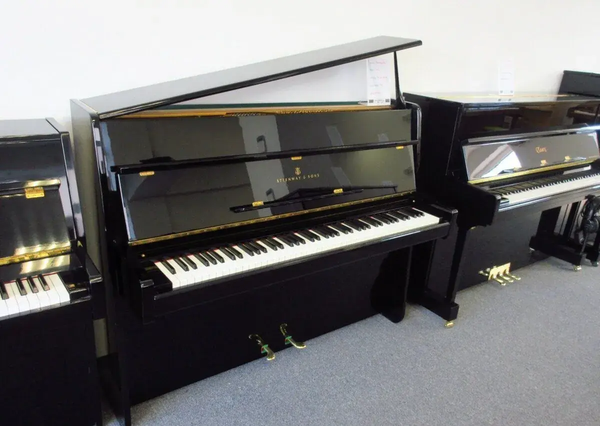 Steinway and Sons pre náročných