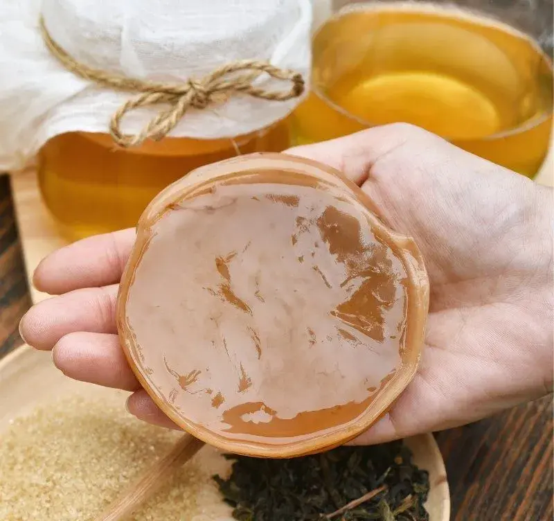 Kombuchu / hubu do čaju (scoby)