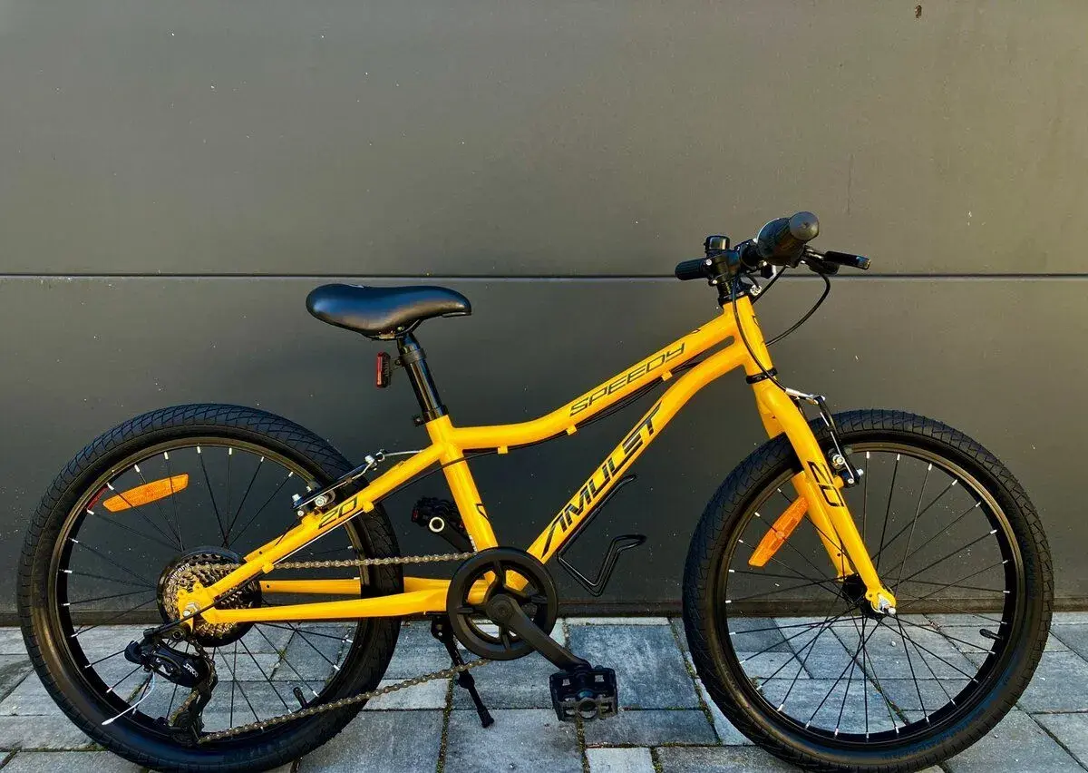 Detský bicykel Amulet Speedy 20”