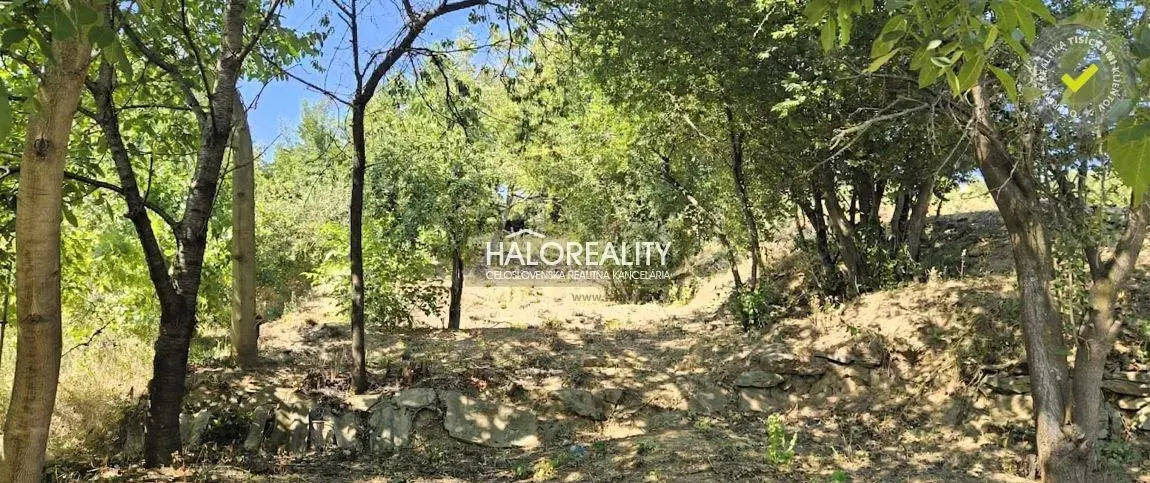 HALO reality - Predaj, záhradný pozemok 393 m2 Hlohovec, M