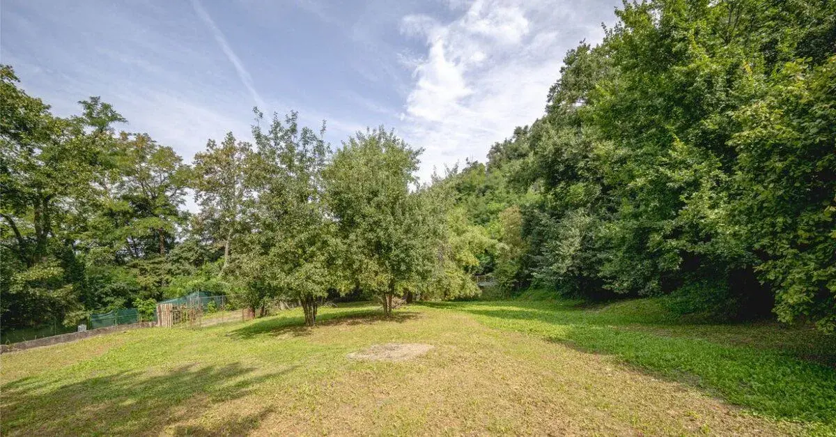 Rekreačný pozemok s vlastným lesom | 4 500 m² | KE - Krásna