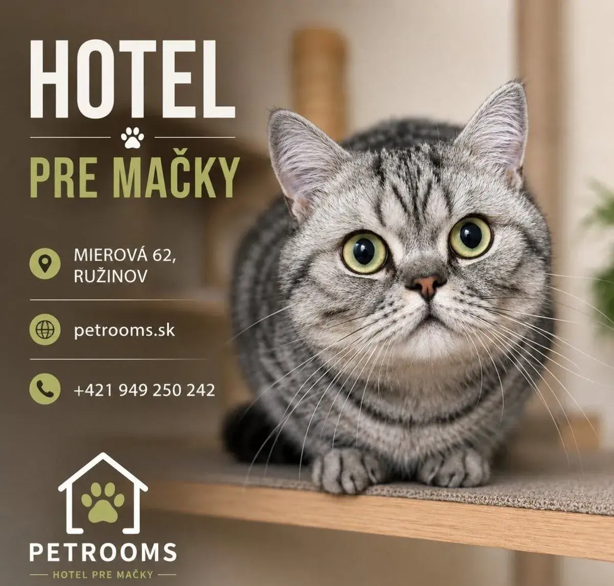 Stráženie mačiek | Moderný hotel pre mačky | Bratislava