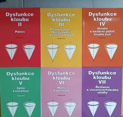 Dysfunkce kloubu M.Tichý - fyzioterapia.