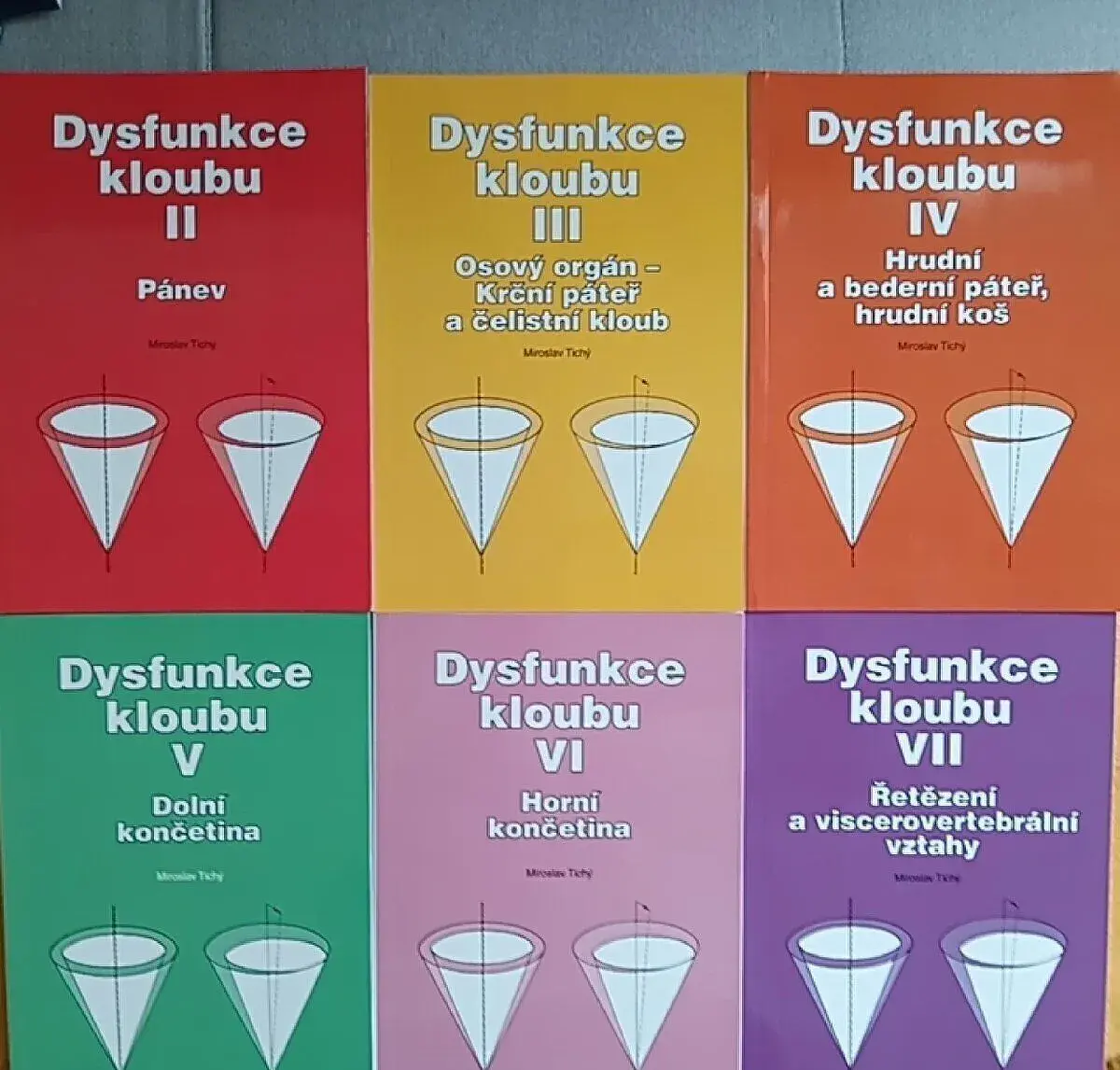 Dysfunkce kloubu M.Tichý - fyzioterapia.