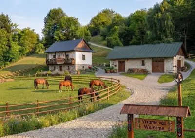 Hospodárska usadlosť - chata