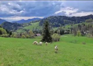 ORNa PÔDa alebo TTP , Dolný Kubín, Terchová, Zuberec