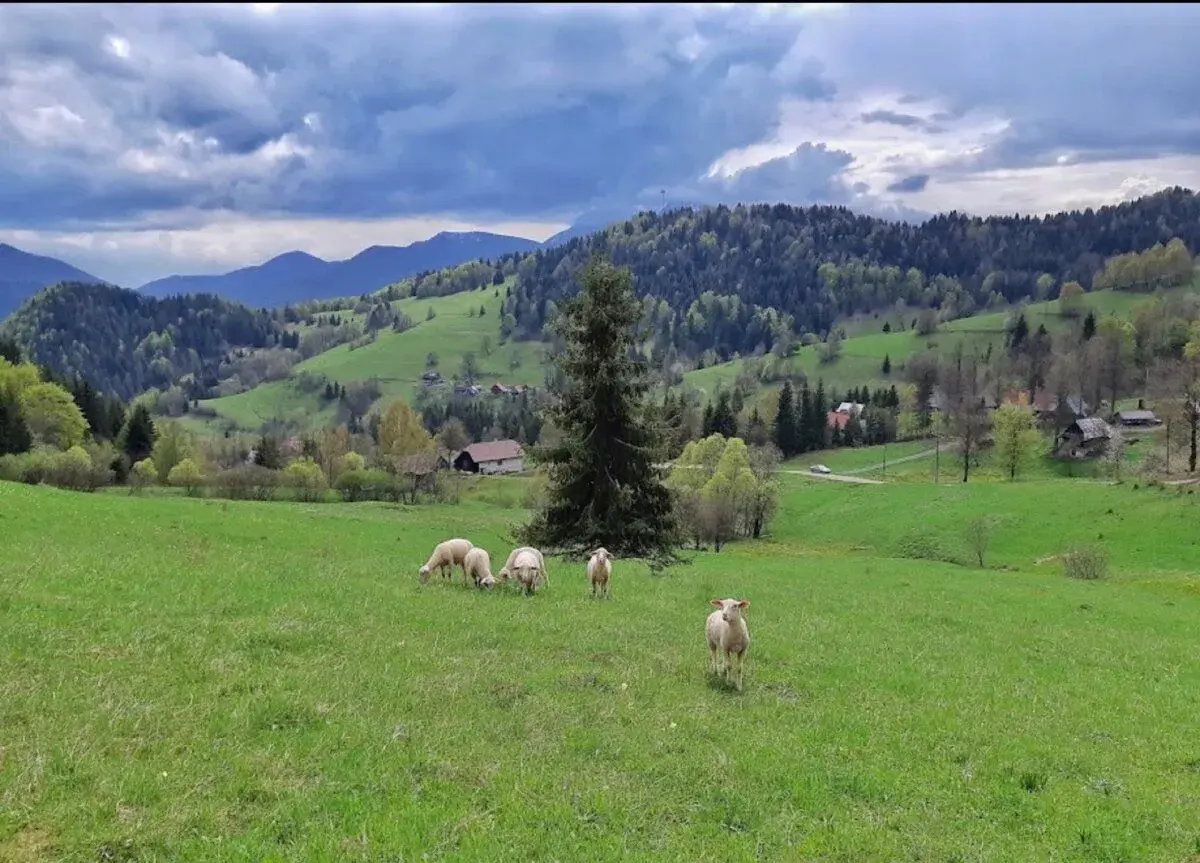 ORNa PÔDa alebo TTP , Dolný Kubín, Terchová, Zuberec