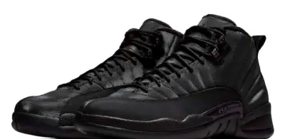 Jordan retro 12 winter