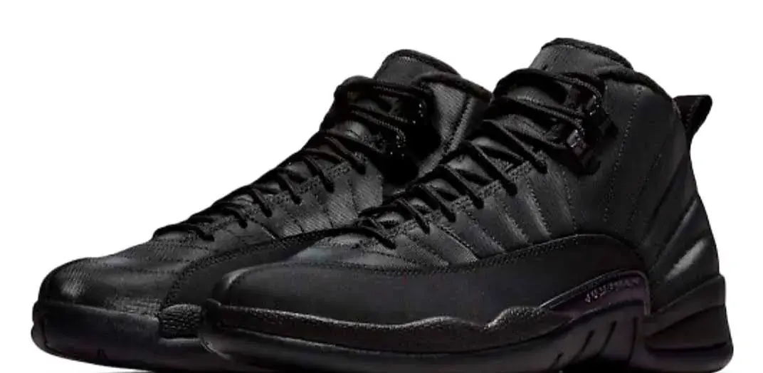 Jordan retro 12 winter
