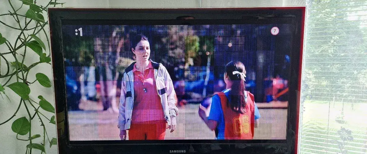 TV Samsung LE40A856S1 s vadou obrazu