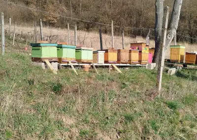 rezervovane Včely