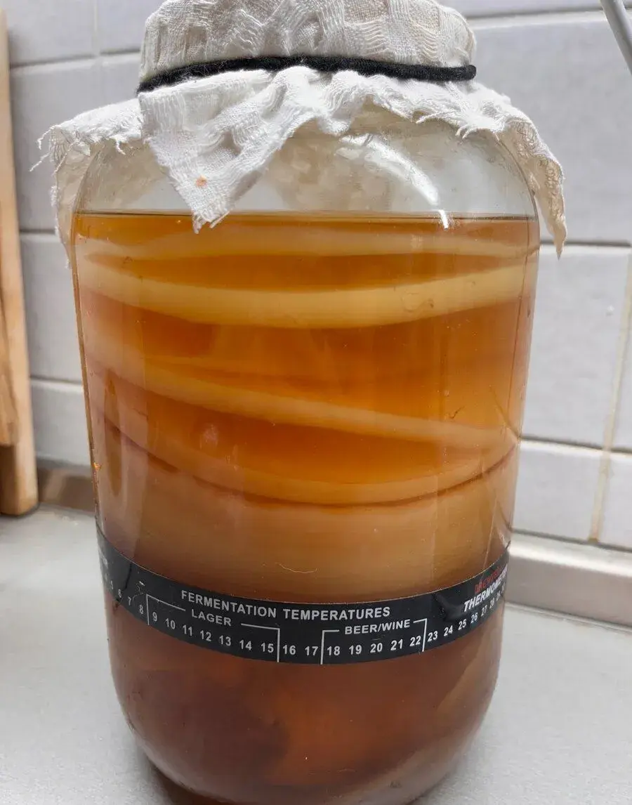 Kombucha
