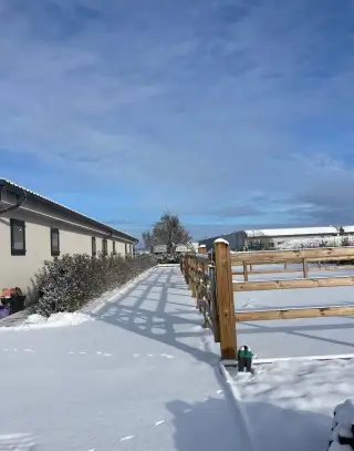 Ustajnenie koni