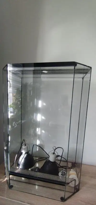 Terarium