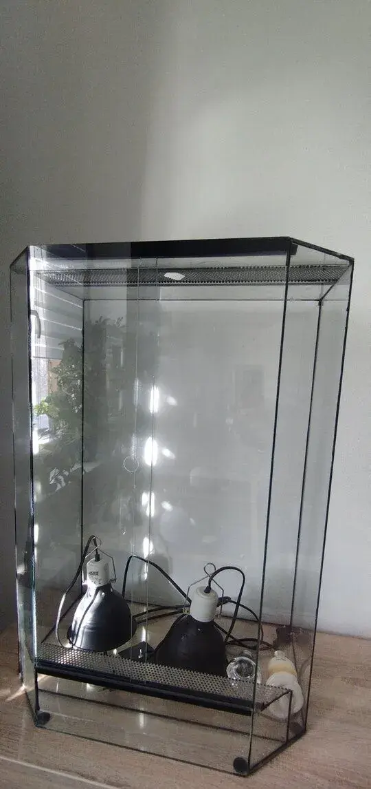 Terarium