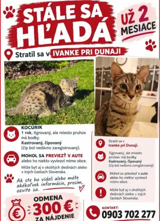 Stále sa hľadá
