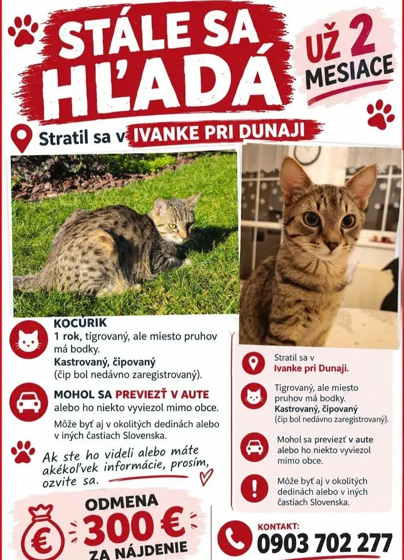 Stále sa hľadá