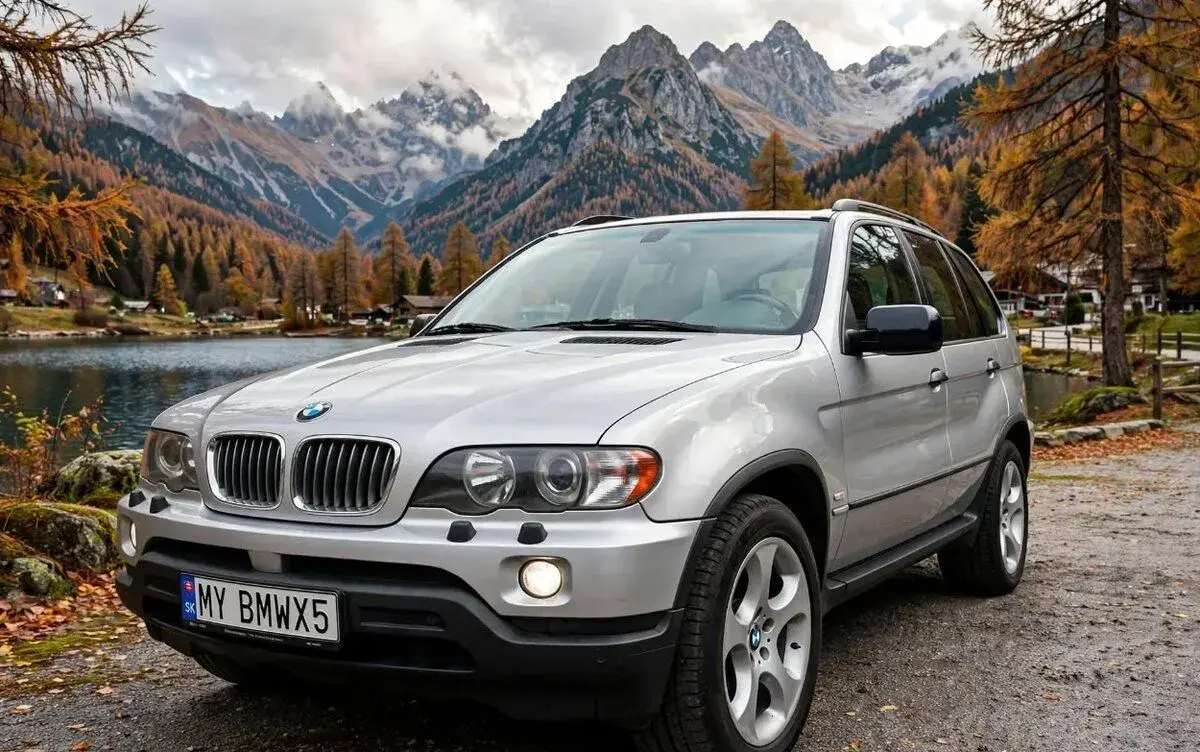 1:18 2001 BMW X5 (E53) 4.4i - Welly