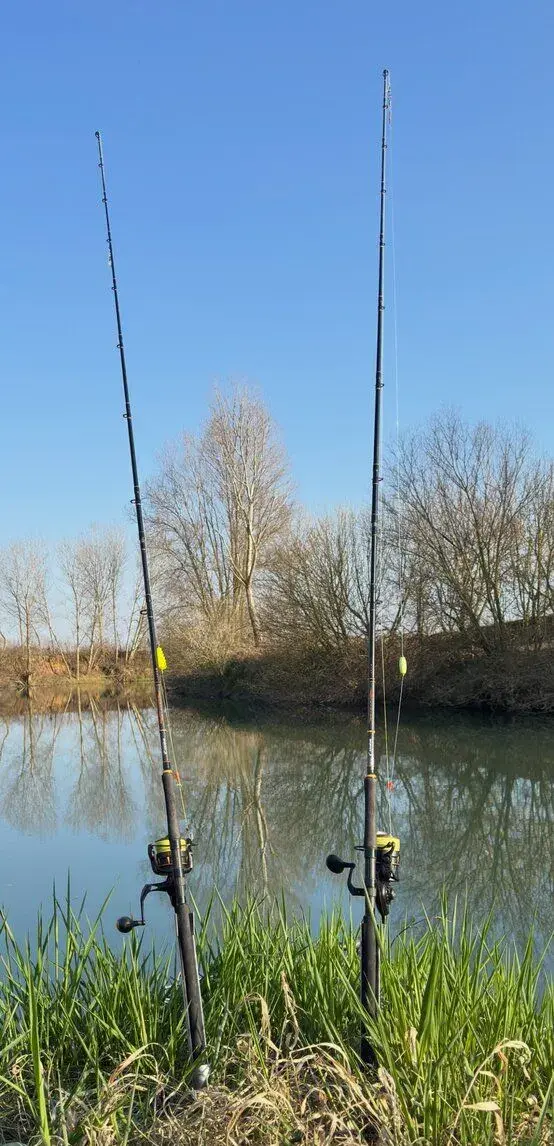 Sumčiarske prúty/navijáky Sportex / Blackcat