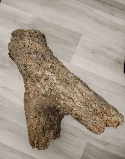 Veľký kus prírodnej korkovej kôry do terária (tvar Y)