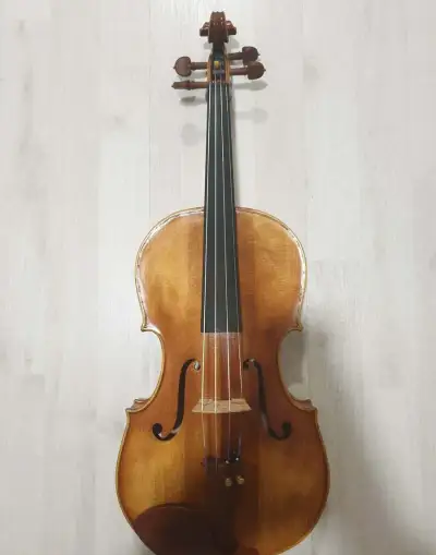 Viola 38,5