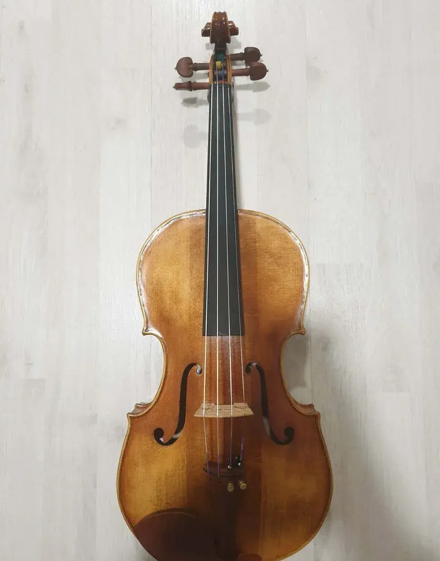 Viola 38,5